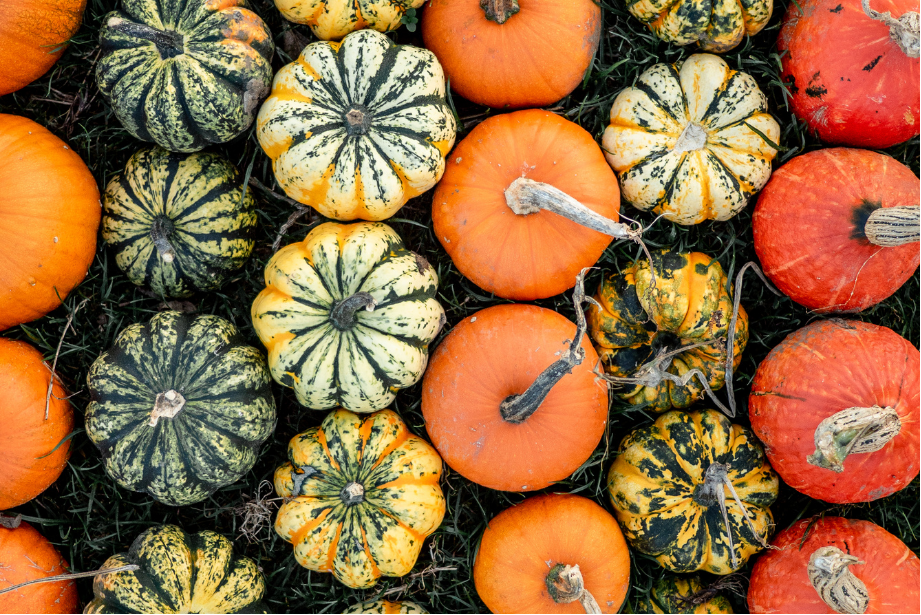citrouille