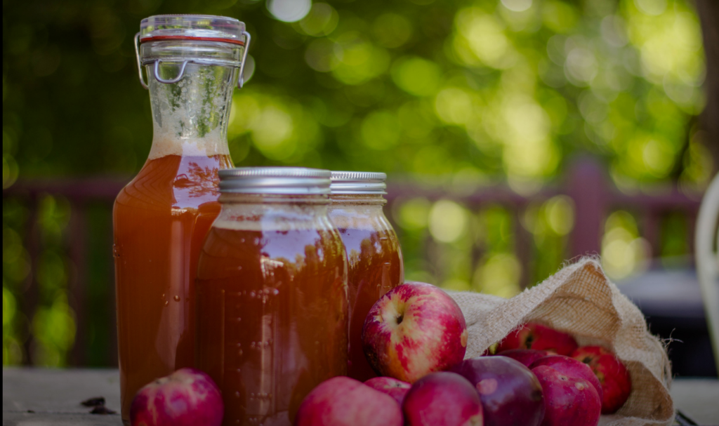 vinaigre de cidre santé intégrative