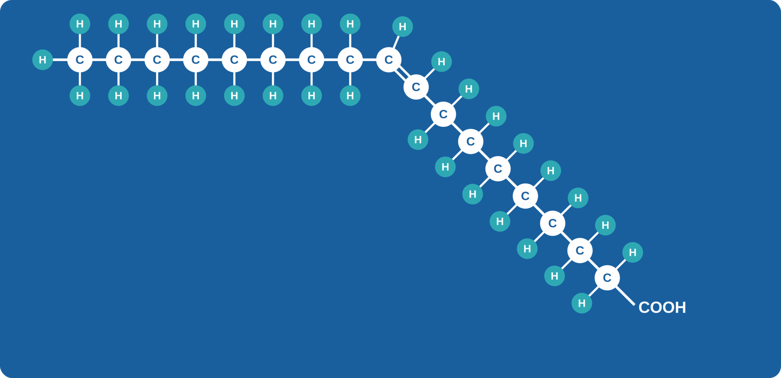 schema_acide_oleique_courbe_AMM
